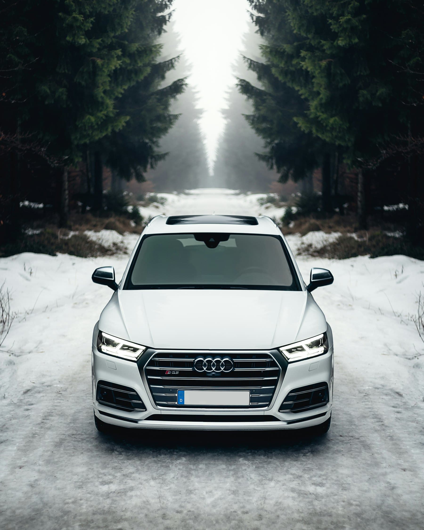 White Audi SQ5 on a snowy forest road, viewed from the front