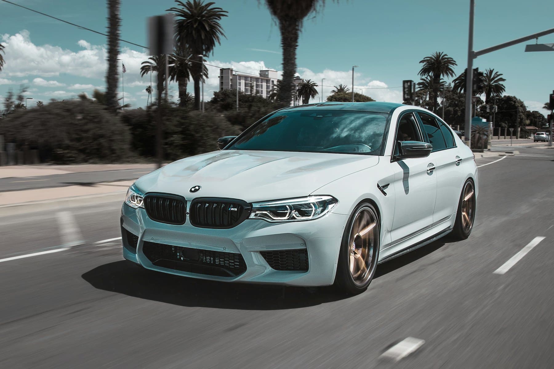White BMW M5 sedan driving on a palm-lined boulevard